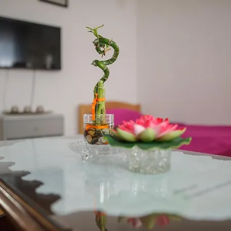 Apartman Ena *